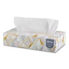 [JR481] Tissue Facial 100 Sheet Regular