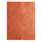 [912PS] 9x12" Peach Steak Paper Sheets