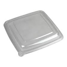 [49132F300N] 9x9" 32 oz Bowl Square Bagasse
